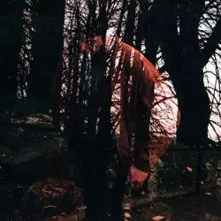 Pedestrian