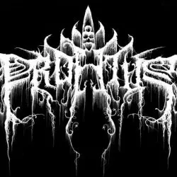 Profetus