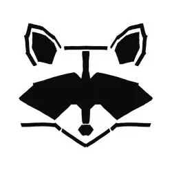 Rakoon