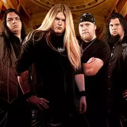 Reinxeed