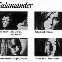 Salamander