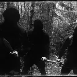 Serpents