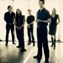 Shearwater