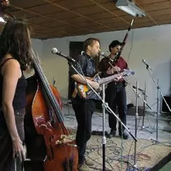 Sledě, Živé Sledě