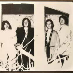 Steve Linnegar's Snakeshed
