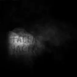 Talea Jacta