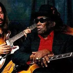 The Coast To Coast Blues Band