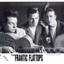 The Frantic Flattops