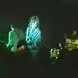 The Honeydrippers