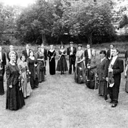 The King's Consort
