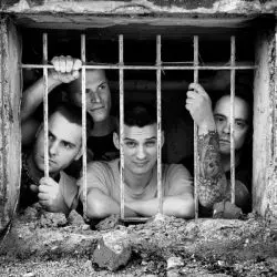 The Minestompers