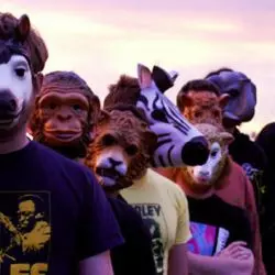 The Sound Of Animals Fighting