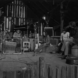 The Stray Gators