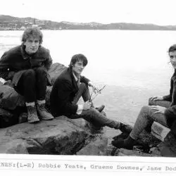 The Verlaines