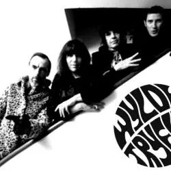 The Wylde Tryfles