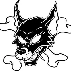 The Young Werewolves