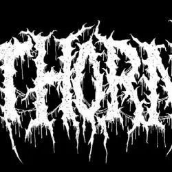 Thorn