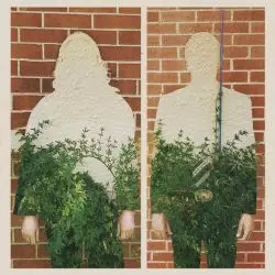 Trees Speak