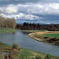 Tweed