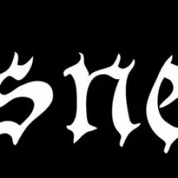 Usnea