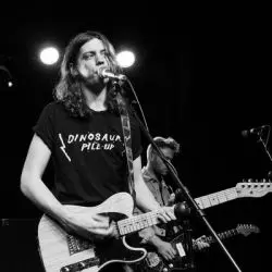 Vant
