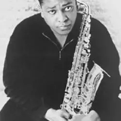 Vincent Herring