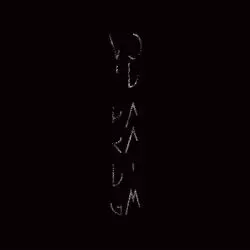 Void Paradigm