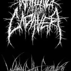 Waking The Cadaver