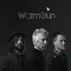 Warm Gun
