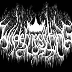 Wildernessking