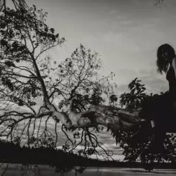 Funeral Doom Metal