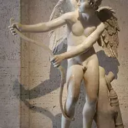 Amor