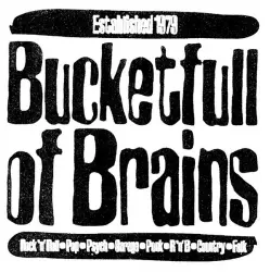 Bucketfull Of Brains