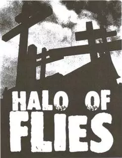 Halo Of Flies