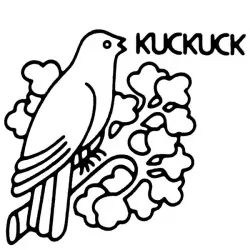 Kuckuck