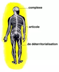La Complexe Articole de Déterritorialisation