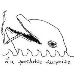 la pochette surprise records
