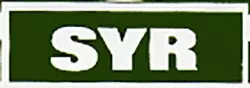 Sonic Youth Records