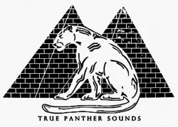 True Panther Sounds