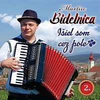 Album Bidelnica Martin: 2. Išiel som cez pole