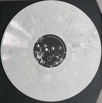 LP A Lily:  Saru L-Qamar CLR