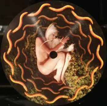 2LP A Perfect Circle: Thirteenth Step