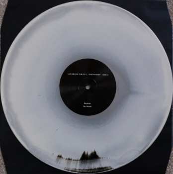 LP A Swarm Of The Sun: The Woods LTD | CLR