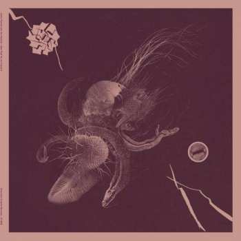 LP Jon Mueller: Now That You've Found It