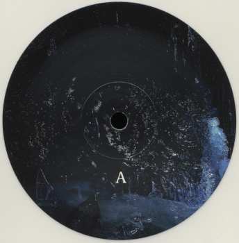 LP Abest: Asylum LTD | CLR