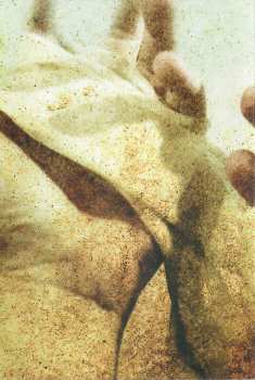 DVD Aborted: The Auricular Chronicles