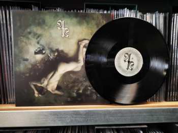 LP Above Aurora: Myriad Woes LTD