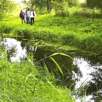 CD Abramis Brama: Rubicon