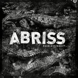 Abriss: Dachlattenkult