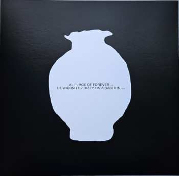 LP Rafael Anton Irisarri: Impossibly Distant, Impossibly Close LTD